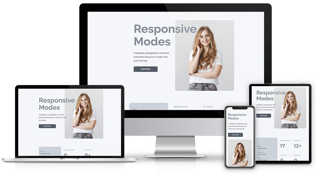 Responsive Ecommerce Website Design