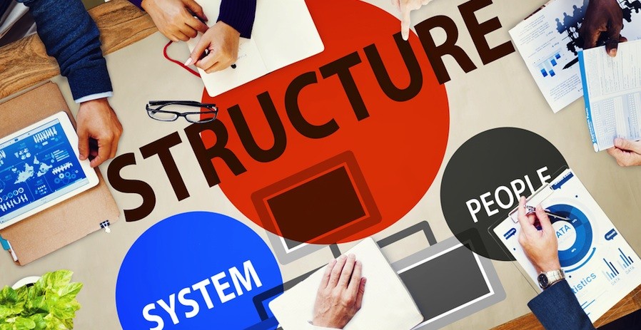 Business Structure 