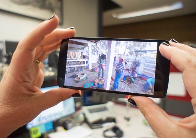 360 Degree Videos