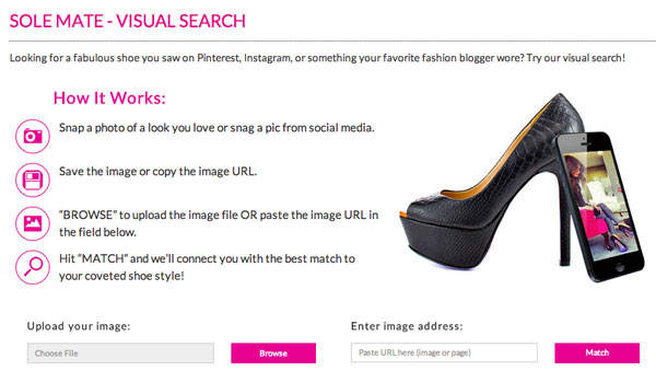 Visual Search Feature