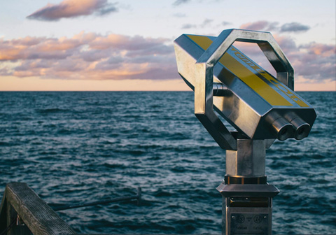 Visual Search