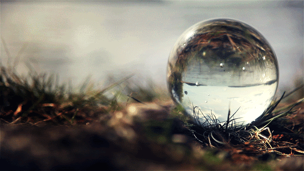 Cinemagraphs for Graphic Design Trends