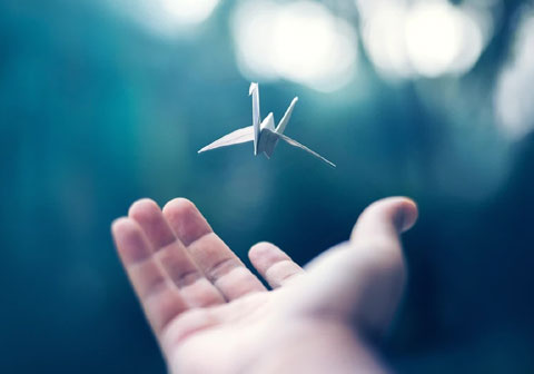 Cinemagraphs On Instagram