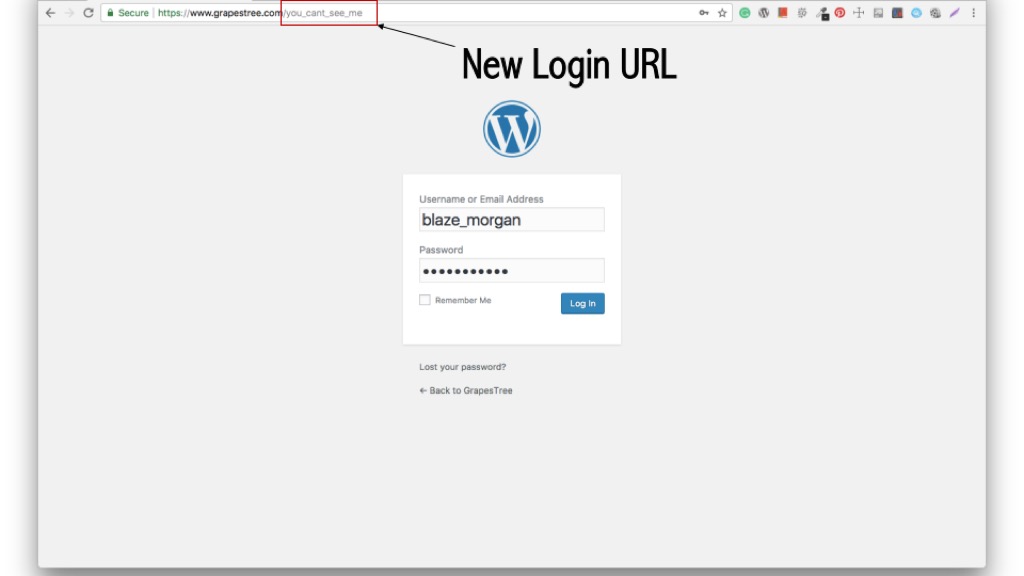 wordpress login