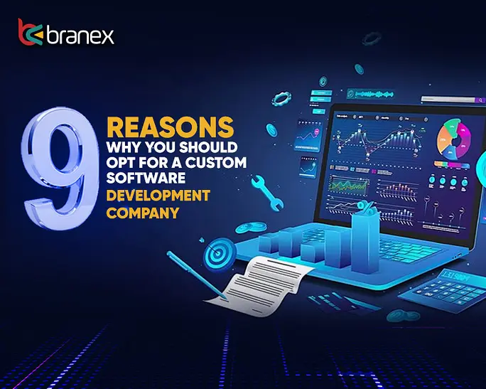 Why You Should Opt For Custom Software Development Company