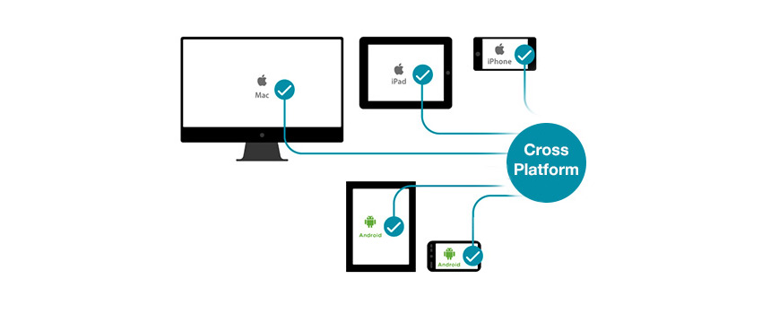 Cross Platform Apps Work Multiple Platforms